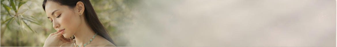 collection-banner-image