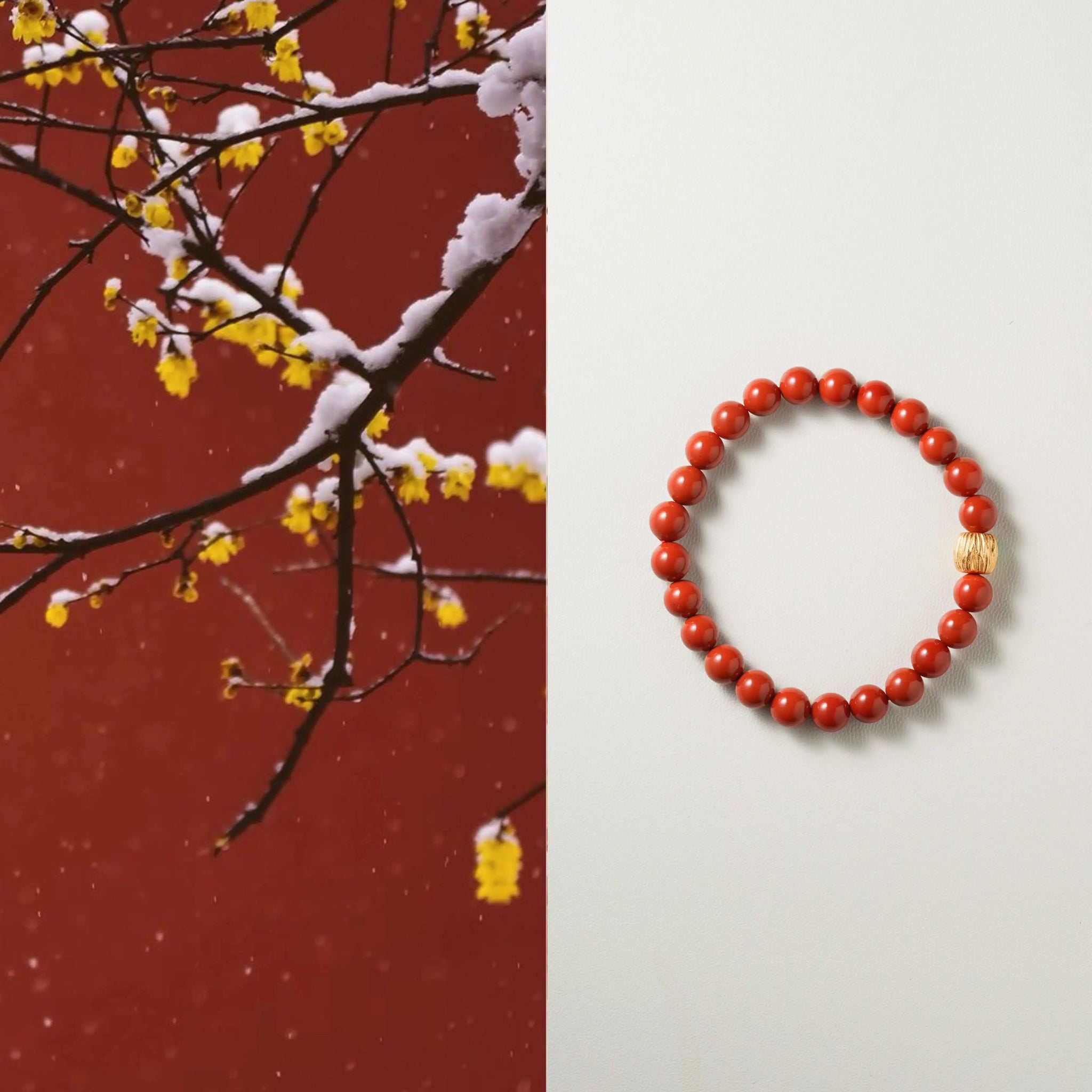 Kindled Spirit · Sichuan Red Agate & Persimmon Agate Energy Bracelet | Circle of Resilience & Renewal