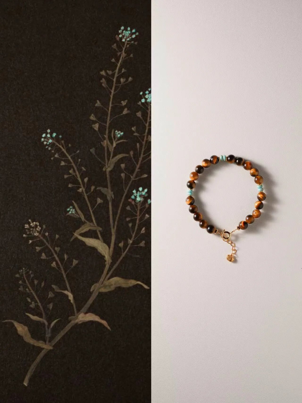 Beyond Edge · Circle of Growth & Expansion